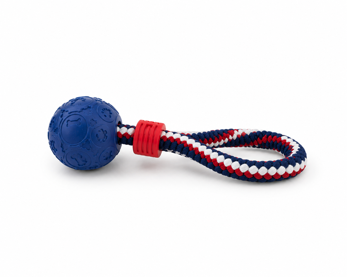 Baxter's Ball on a Rope Dog Toy